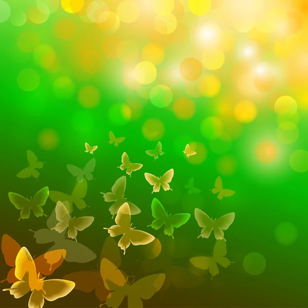 나비와 다채로운 배경입니다 — 스톡 사진