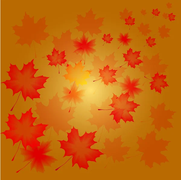 Abstrakter Herbsthintergrund Aus Fliegenden Blättern Eines Ahorns — Stockfoto