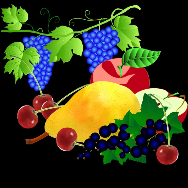 Meyve Seti Armut Elma Kiraz Üzümler — Stok fotoğraf