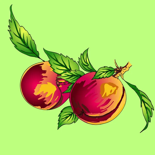 Dua buah persik dengan dedaunan di cabang dengan latar belakang cahaya — Stok Foto
