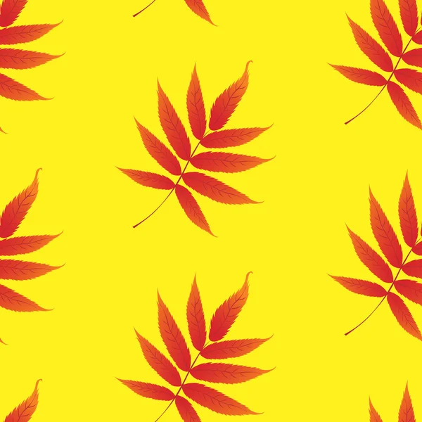 植物のカールの葉を持つ壁紙 — ストック写真