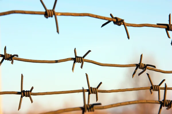 Barbed wires against blue sky. — Stock Photo, Image
