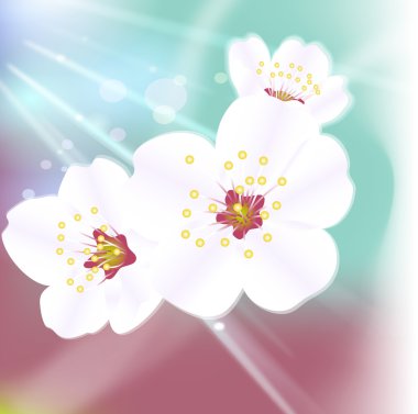 Artistic flower background clipart