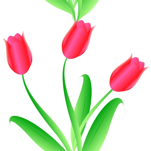 Elegantie naadloze kleurenpatroon tulpen — Stockfoto