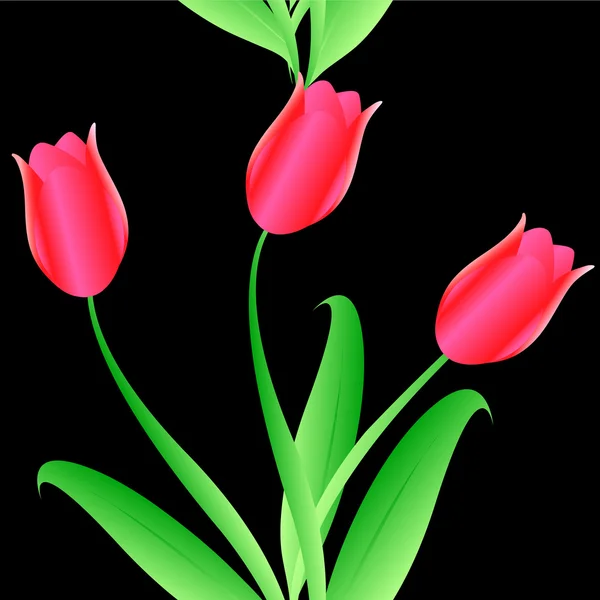 Elegância padrão de tulipas de cor sem costura — Fotografia de Stock