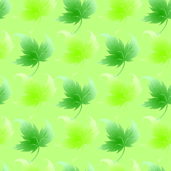 Behang met krullende bladeren van een plant — Stockfoto
