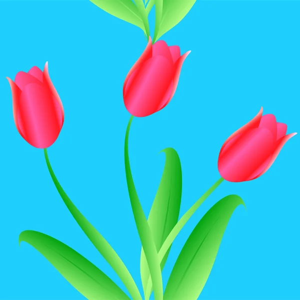 Elegancja kolor bez szwu tulipany wzór — Zdjęcie stockowe