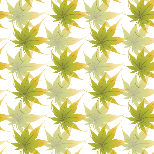 Fond d'écran avec des feuilles de frisage d'une plante — Photo