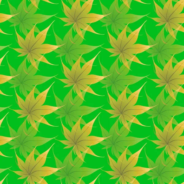 Fond d'écran avec des feuilles de frisage d'une plante — Photo