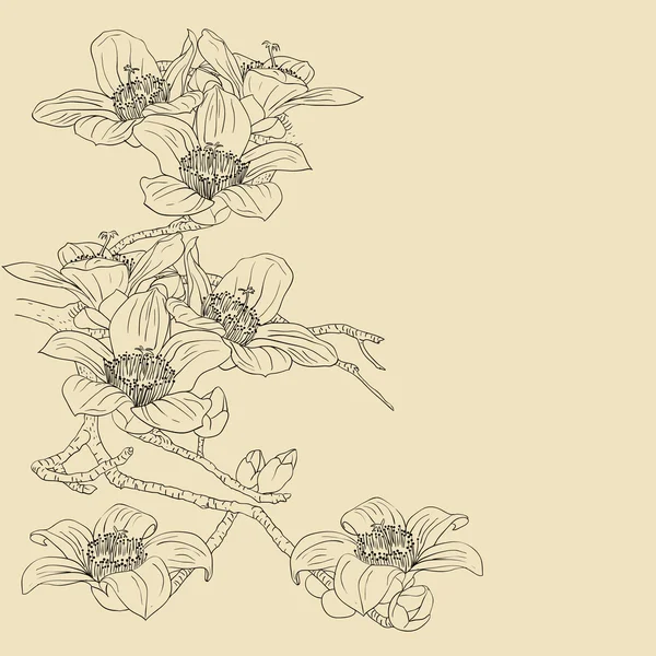 Tendre rameau orchidées florissantes sur un fond clair — Photo