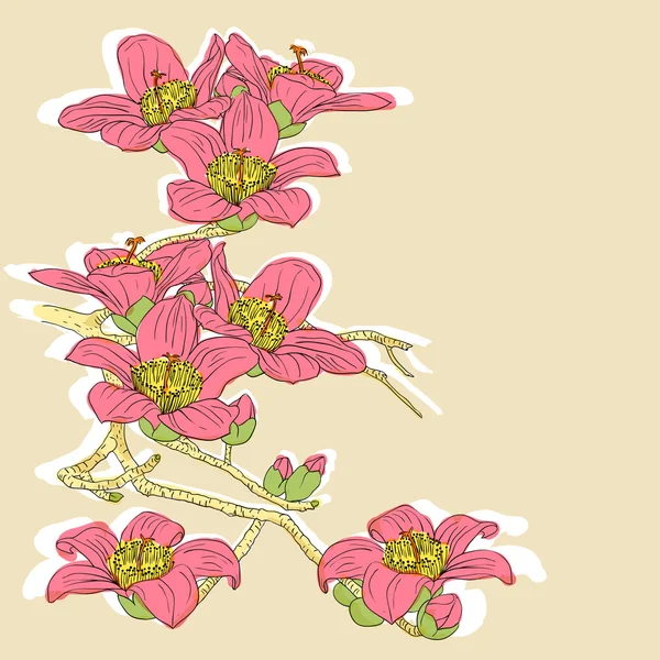 柔嫩的枝条在浅色背景上开花的兰花 — 图库照片