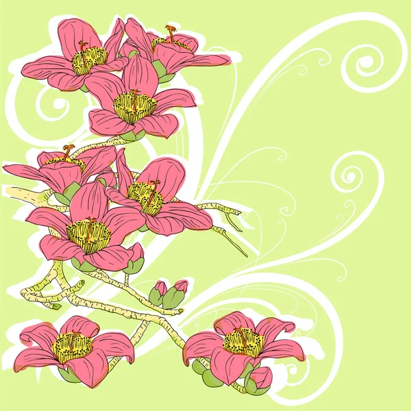 Tenro galho orquídeas florescentes em um fundo claro — Fotografia de Stock