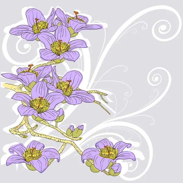 stock image Tender twig blossoming orchids on a light background