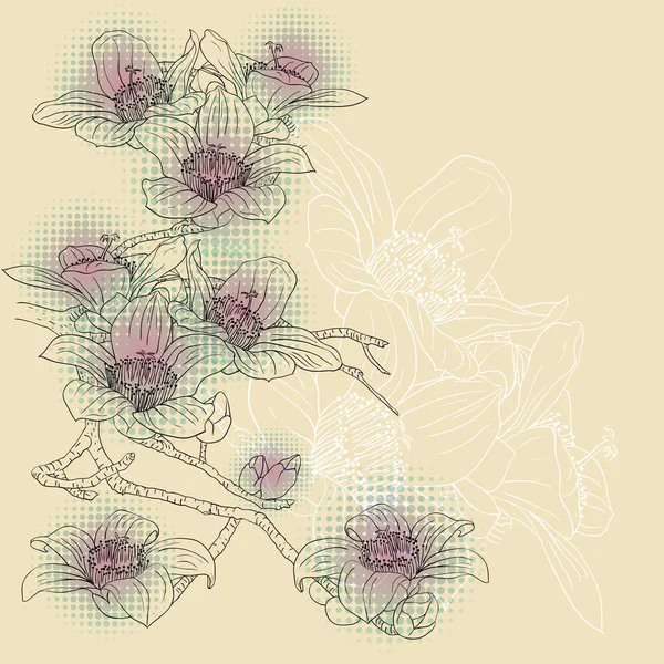 Czułe gałązki kwitnące storczyki na jasnym tle — Zdjęcie stockowe