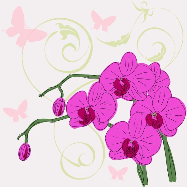 Twig bloeiende orchideeën — Stockfoto