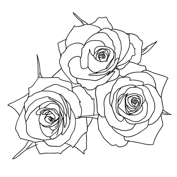 Três rosas em estilo desenhado à mão — Fotografia de Stock