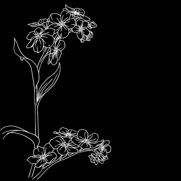投标枝盛开的兰花 — 图库照片