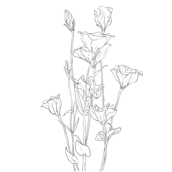 Floral design element and hand-drawn illustration — Stock Fotó