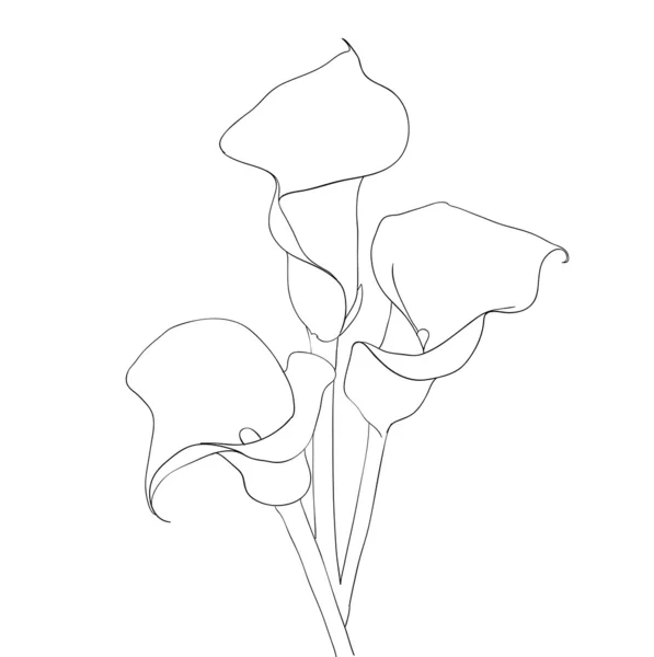 Element de design floral și ilustrație desenată manual — Fotografie, imagine de stoc