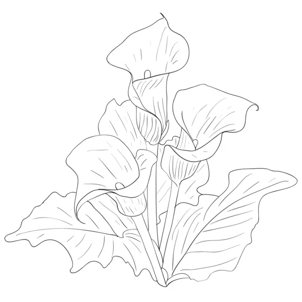 Floral design element and hand-drawn illustration — Stok fotoğraf