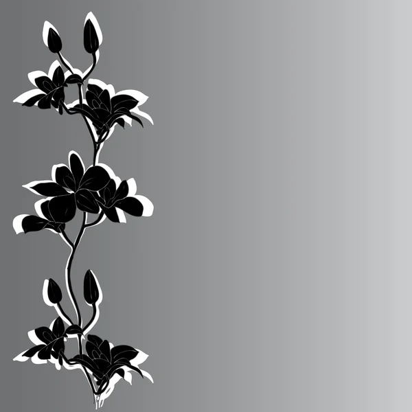 Contexte avec des orchidées — Photo