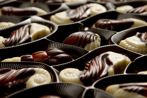 stock image Sea food pralines