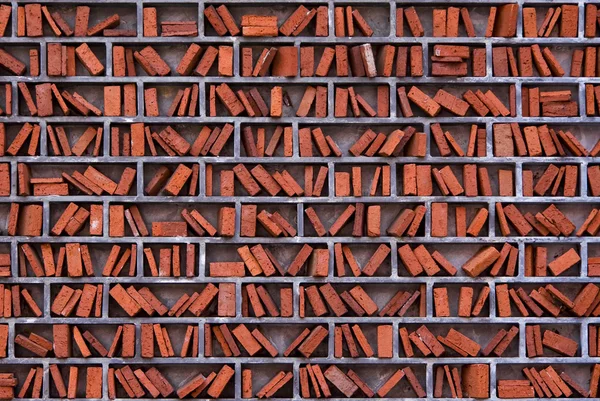 Library wall — Stock Photo, Image