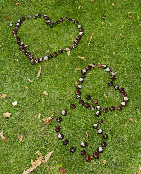 stock image Chestnut hearts