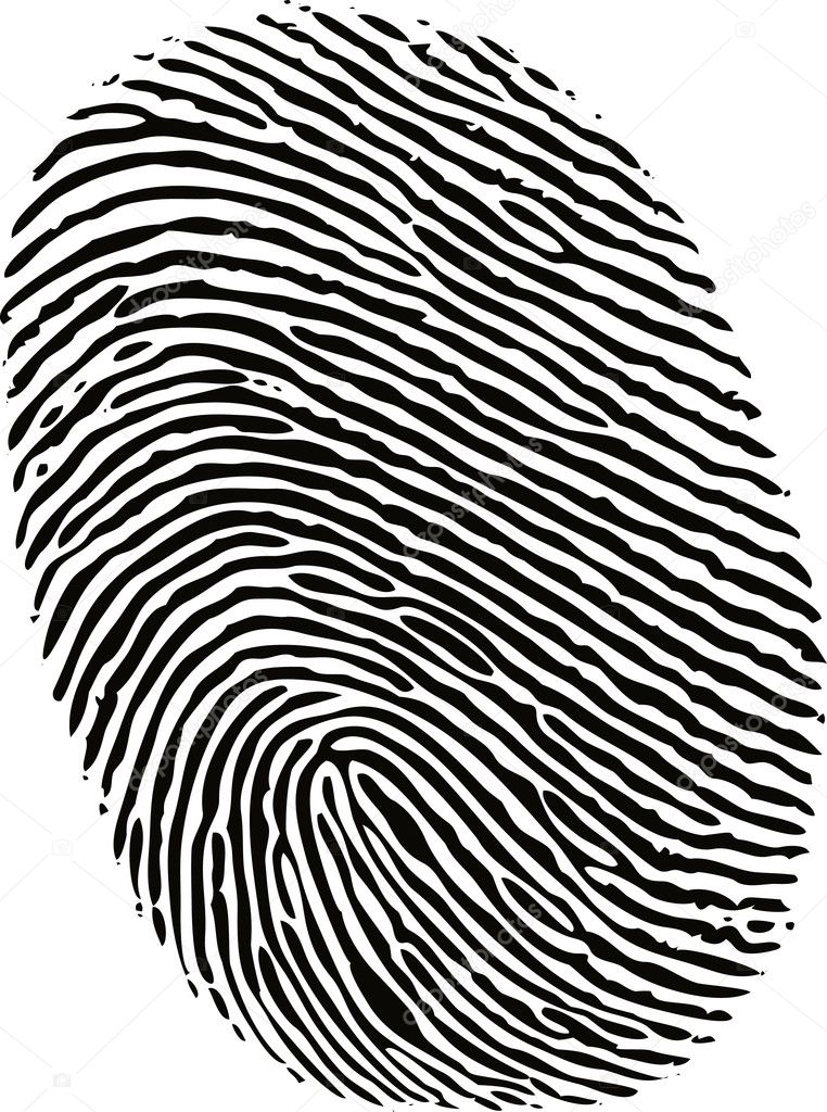 Editable vector fingerprint