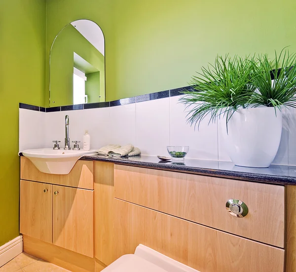 Badezimmer in grün — Stockfoto