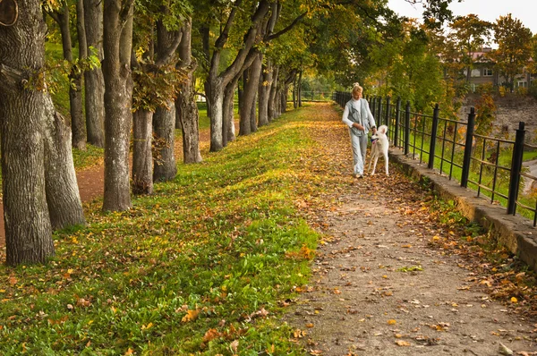 Caminho no parque de outono — Fotografia de Stock