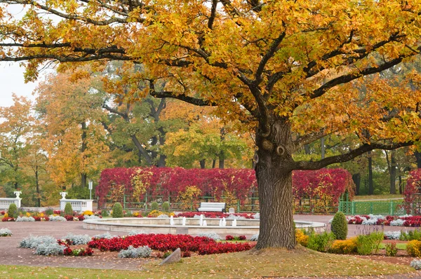 Podzimní park kadriorg, tallinn — Stock fotografie