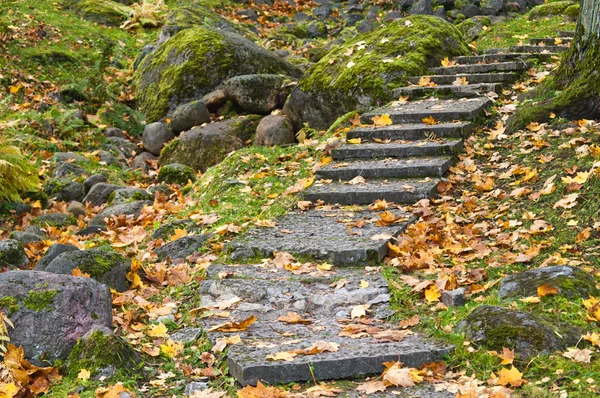 Échelle en pierre dans le parc d'automne Kadriorg, Tallinn — Photo