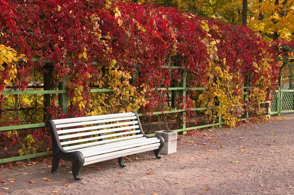 Höstens parken kadriorg, tallinn — Stockfoto