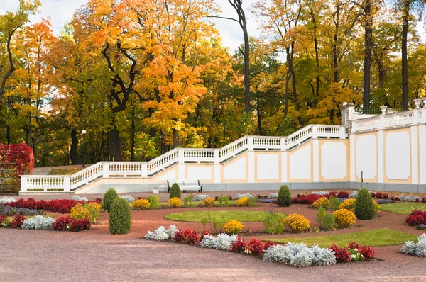 Podzimní park kadriorg, tallinn — Stock fotografie