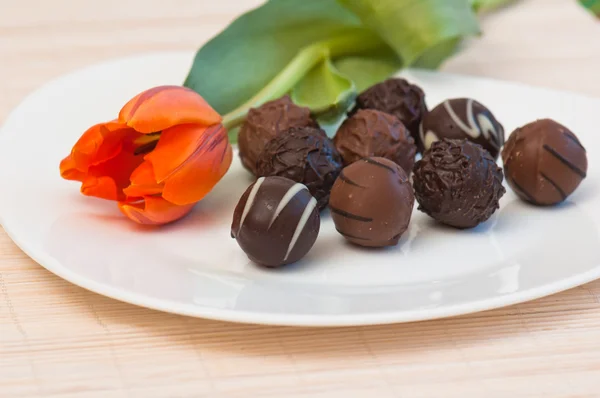 Chocolates y tulipán en un plato blanco —  Fotos de Stock