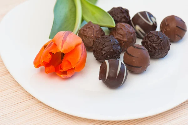 Σοκολάτες και τουλίπα σε ένα άσπρο πιάτο — Φωτογραφία Αρχείου