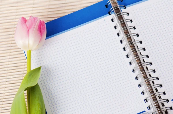 Otwórz Notatnik i tulipan — Zdjęcie stockowe