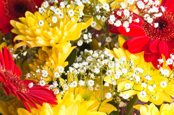 Autumn bouquet of flowers a close up, a background — Stock Photo, Image
