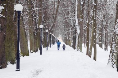 Avenue kış