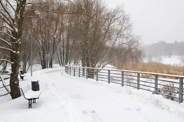 Avenue in de winter — Stockfoto