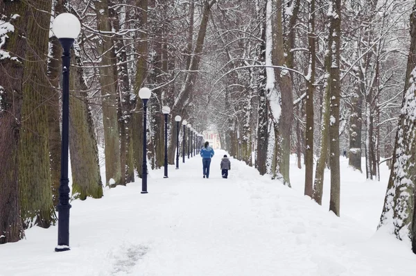Avenue w zimie — Zdjęcie stockowe