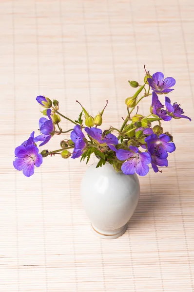 Vilda blommor i en vas — Stockfoto