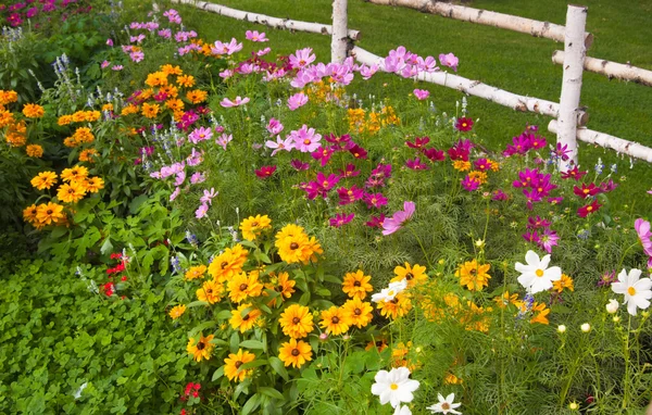Ухоженный весенний сад — стоковое фото