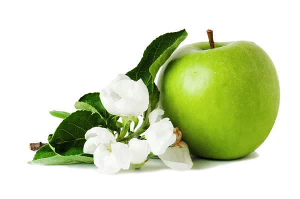 Grönt äpple och blommande gren — Stockfoto