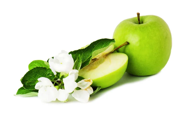 Zielone jabłko i kwitnąca gałąź — Zdjęcie stockowe