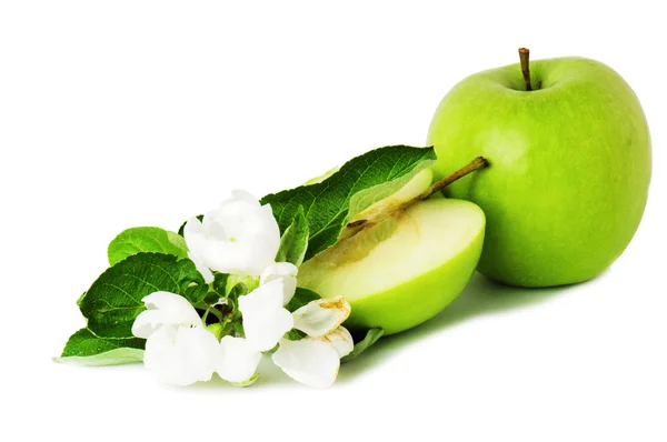 Grönt äpple och blommande gren — Stockfoto