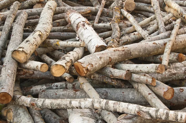 Heaped aspen logs, a close up — Stock Photo, Image