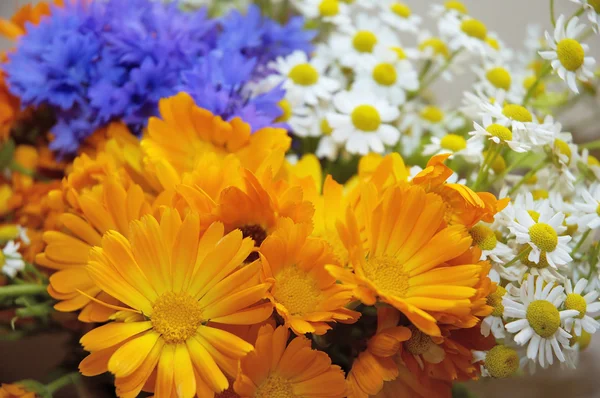 Bouquet summer of flower — Stock Photo, Image