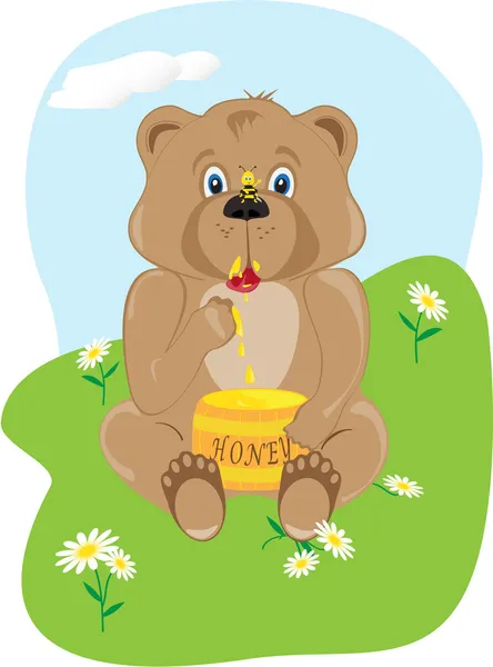 Baby Bear Eating Honey — Stock Vector